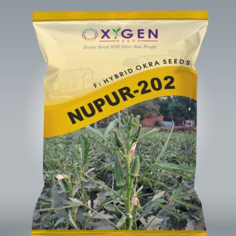 HY. OKRA - OXYGENS NUPUR 202